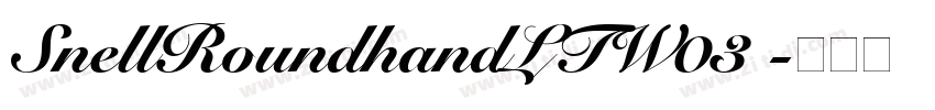 SnellRoundhandLTW03 字体转换